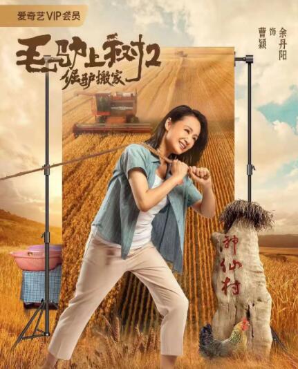 哪里来的毛头小子