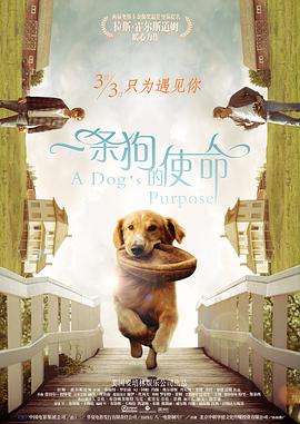 亚洲国产中文字幕