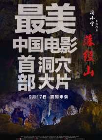 开心查询